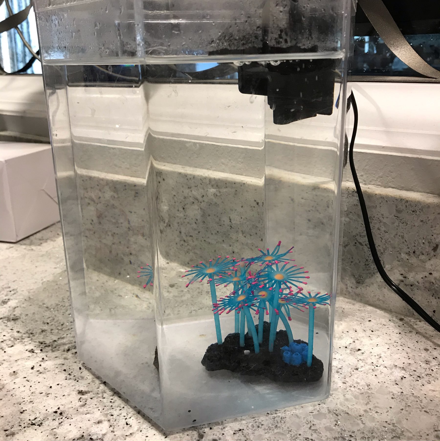 an empty fish tank with a small decoration inside